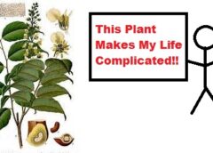 This Plant Makes My Life Complicated